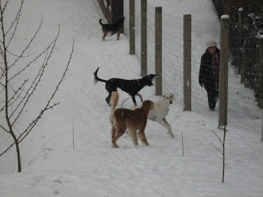 IMG_7041.JPG