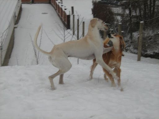 IMG_7032.JPG