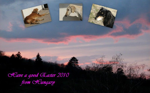 Good%20Easter%202010.jpg