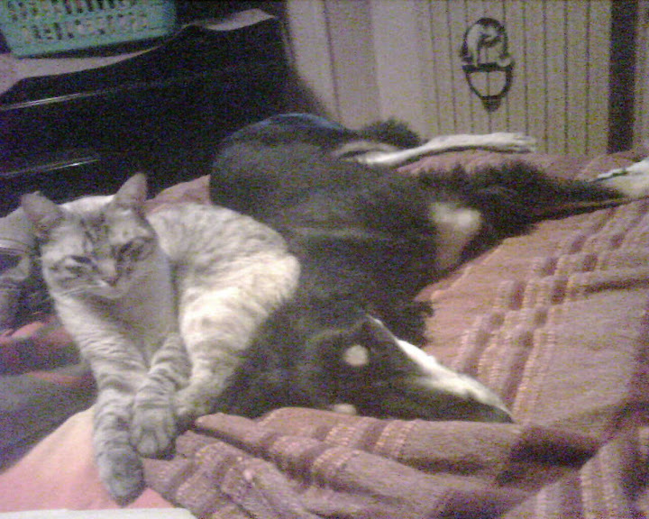 IMG00351.jpg