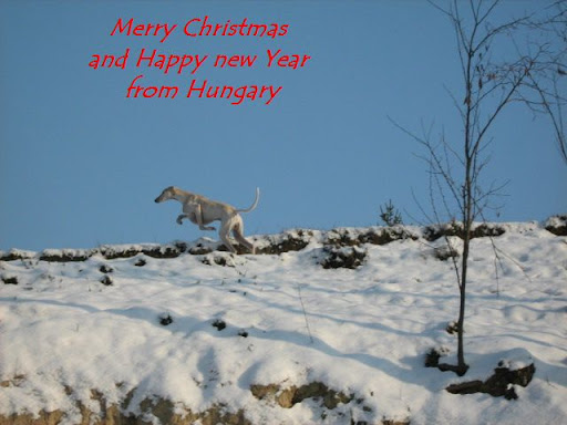 auguri%20di%20natale%202009.jpg