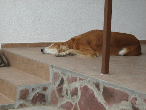 IMG_9752.JPG
