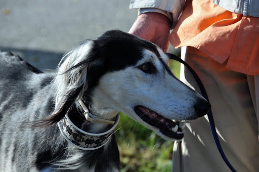 simbi%20coursing%2011.jpg