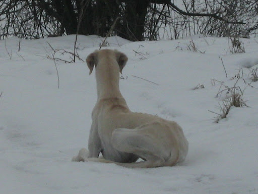IMG_2599.JPG