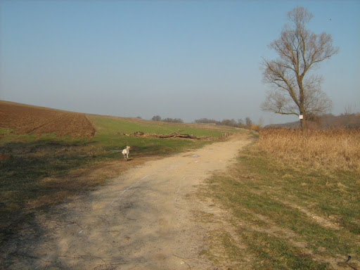 IMG_3494.JPG
