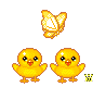b467.png