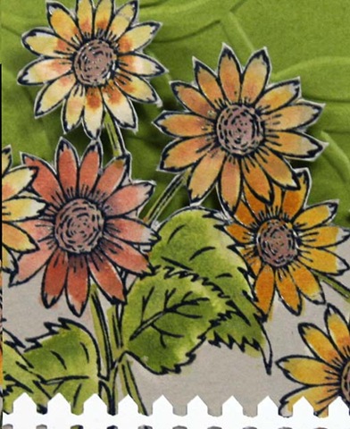 [Sunflower Garden Peek[4].jpg]