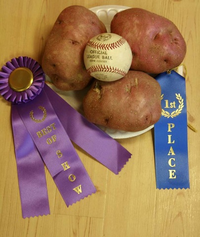 [Best of Show Potatoes[4].jpg]
