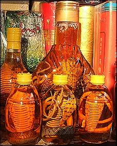 snake wine Vietnam