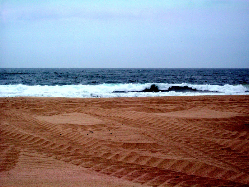 Forum Image: http://lh4.ggpht.com/_SdF0uuk3iUc/SebCbdDkp6I/AAAAAAAACBQ/F4zoSBpaxPE/s800/100_0258.JPG