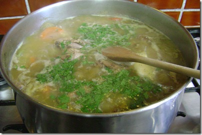 Sopa de pollo (2)