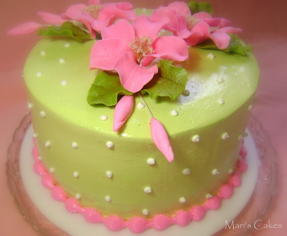 [PINK AND GREEN CAKE[4].jpg]