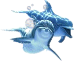 .png