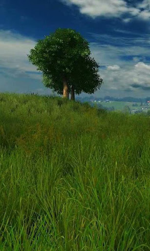 Grassland live wallpaper