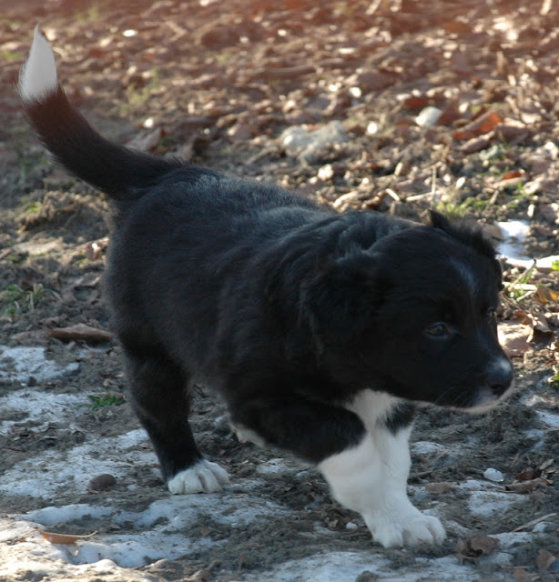 DSC_1522.JPG
