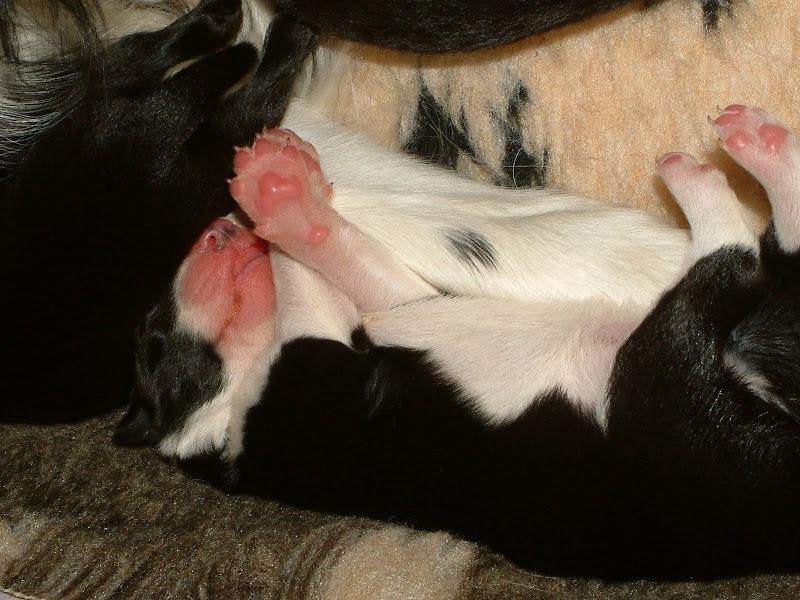 090810_5.JPG