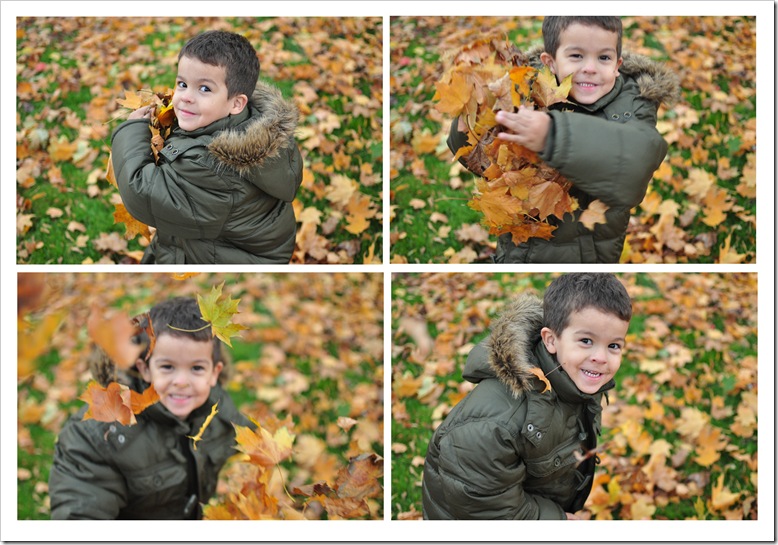 jed with leaves