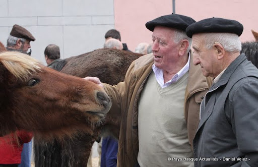 Foire Espelette 2011 4.jpg