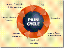 pain_cycle