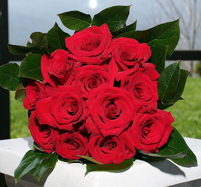 flowers_red_roses_bg.jpg