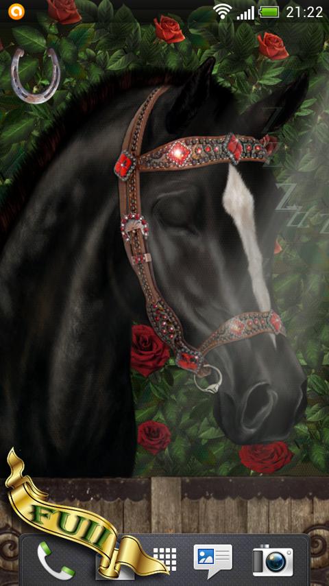 Arabian Horse Wallpaper Screen 3