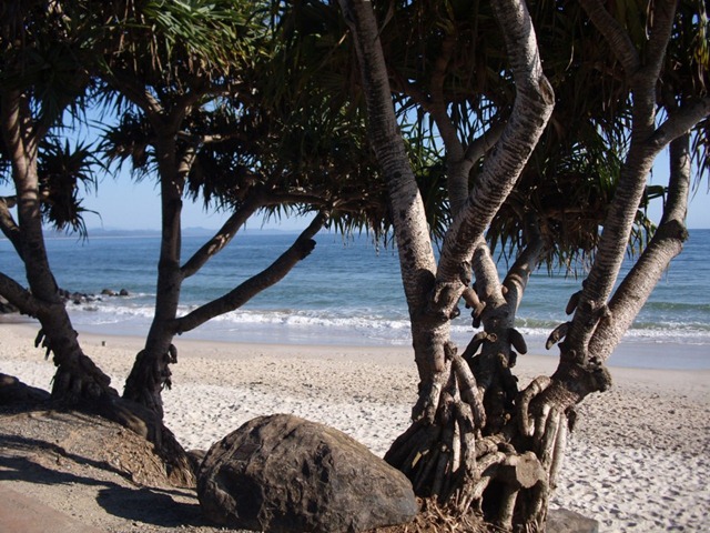 [ByronBay[3].jpg]