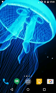 download Jellyfish Live Wallpaper free