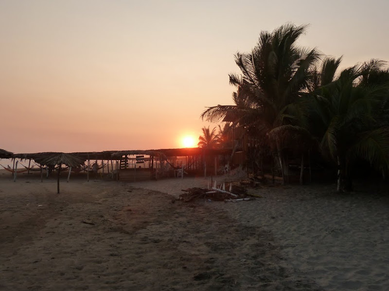 P1020200.JPG