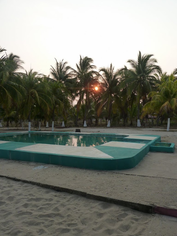 P1020221.JPG
