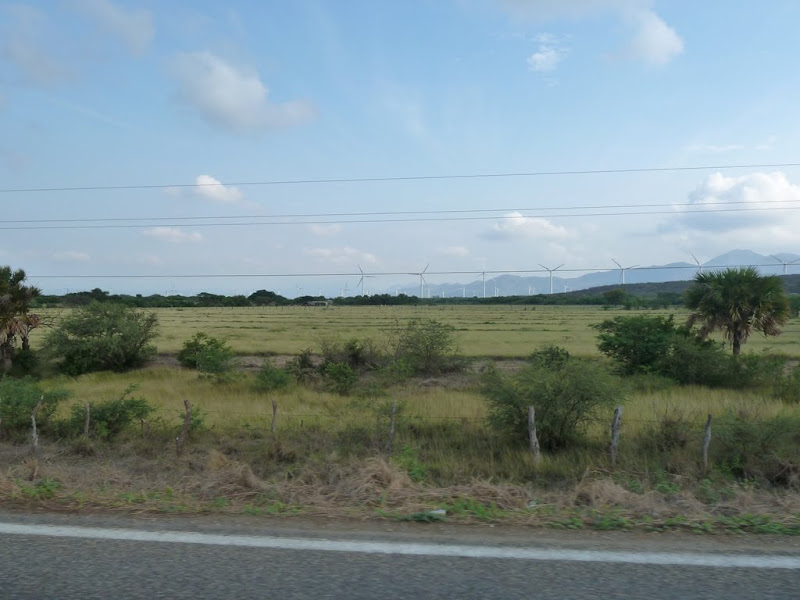 P1020311.JPG