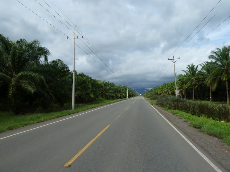 P1030044.JPG