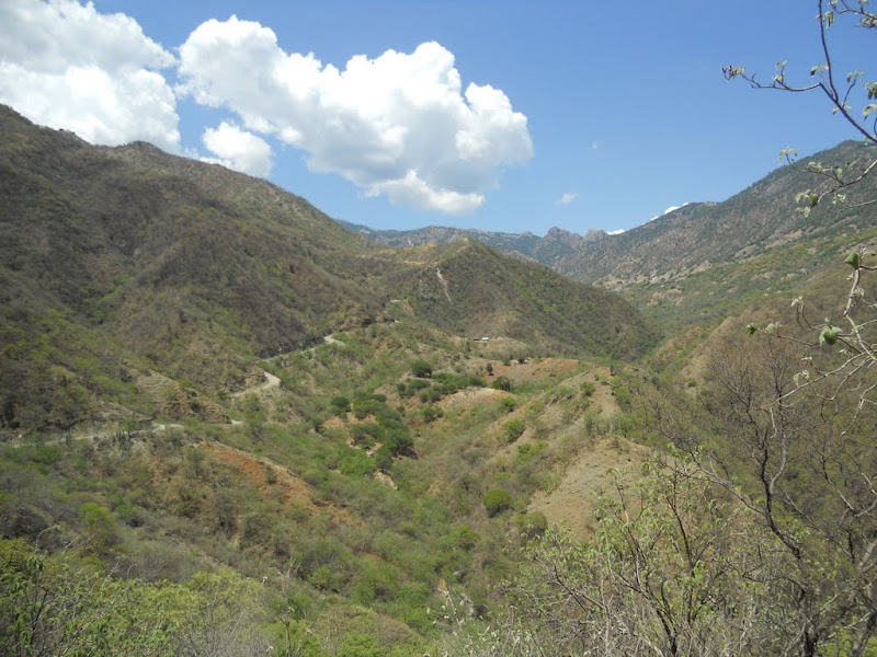 DSCN0460.JPG