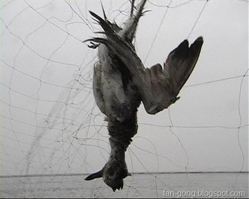 [U2117P1T1D17439884F21DT2009031912501.jpg]