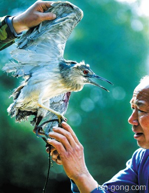 [24081237222429857[3].jpg]