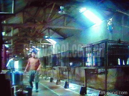 [U1596P1T1D10189521F21DT20060619102858[4].jpg]