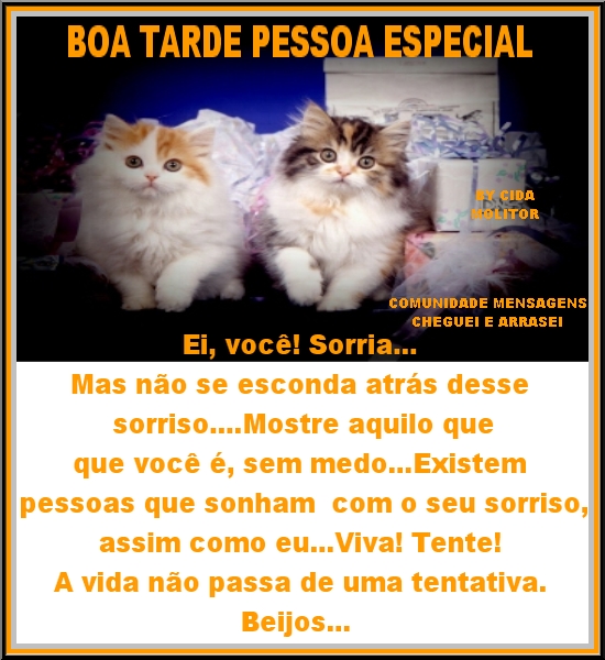 GATOS8.jpg