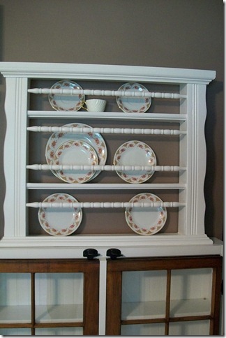 100plate rack_8043