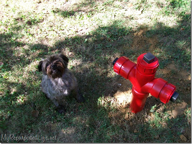 red fire hydrant