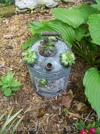 Hens & Chicks Repurposed Containers (7)