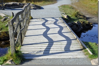 bridge at tarn hows with wavy shadows