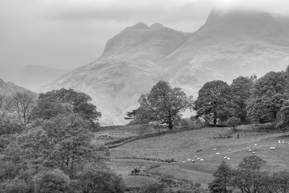 [view from little langdale tarn to the langdale pikes in monochrome[12].jpg]