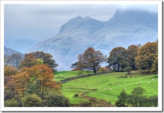view from little langdale tarn to the langdale pikes
