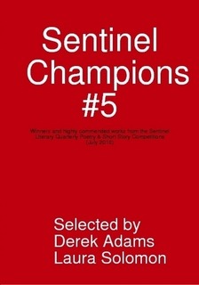 [sentinel champions #5[2].jpg]