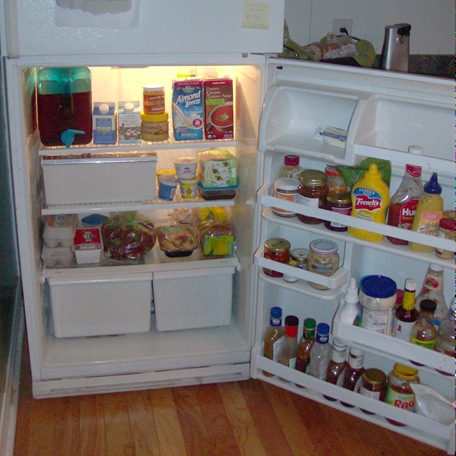 fridge 005