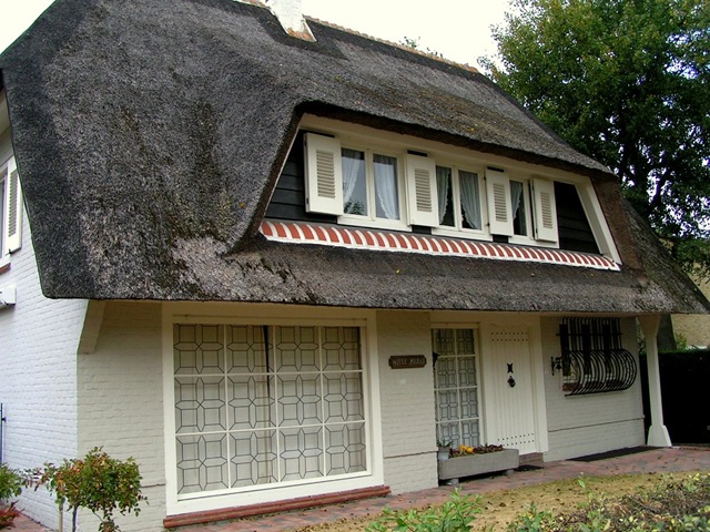 [Thatched roof house[7].jpg]