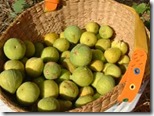 I Fichi di Carmignano in una cesta di vimini I Fichi di Carmignano in una cesta di vimini