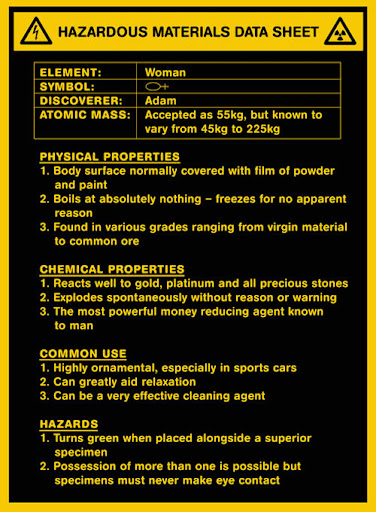 27aug08_woman-data-sheet.jpg