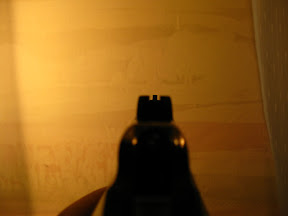 ARMS1 017.jpg