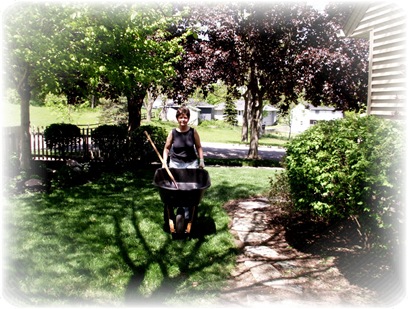 Me wheelbarrow