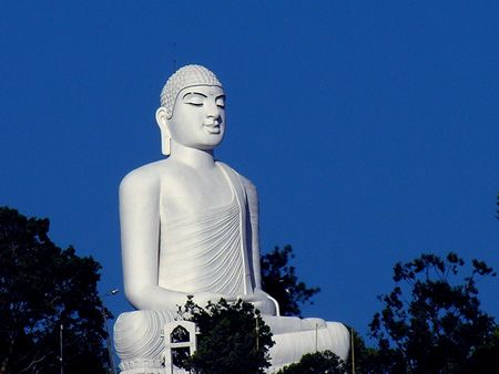 DSCN205.jpg